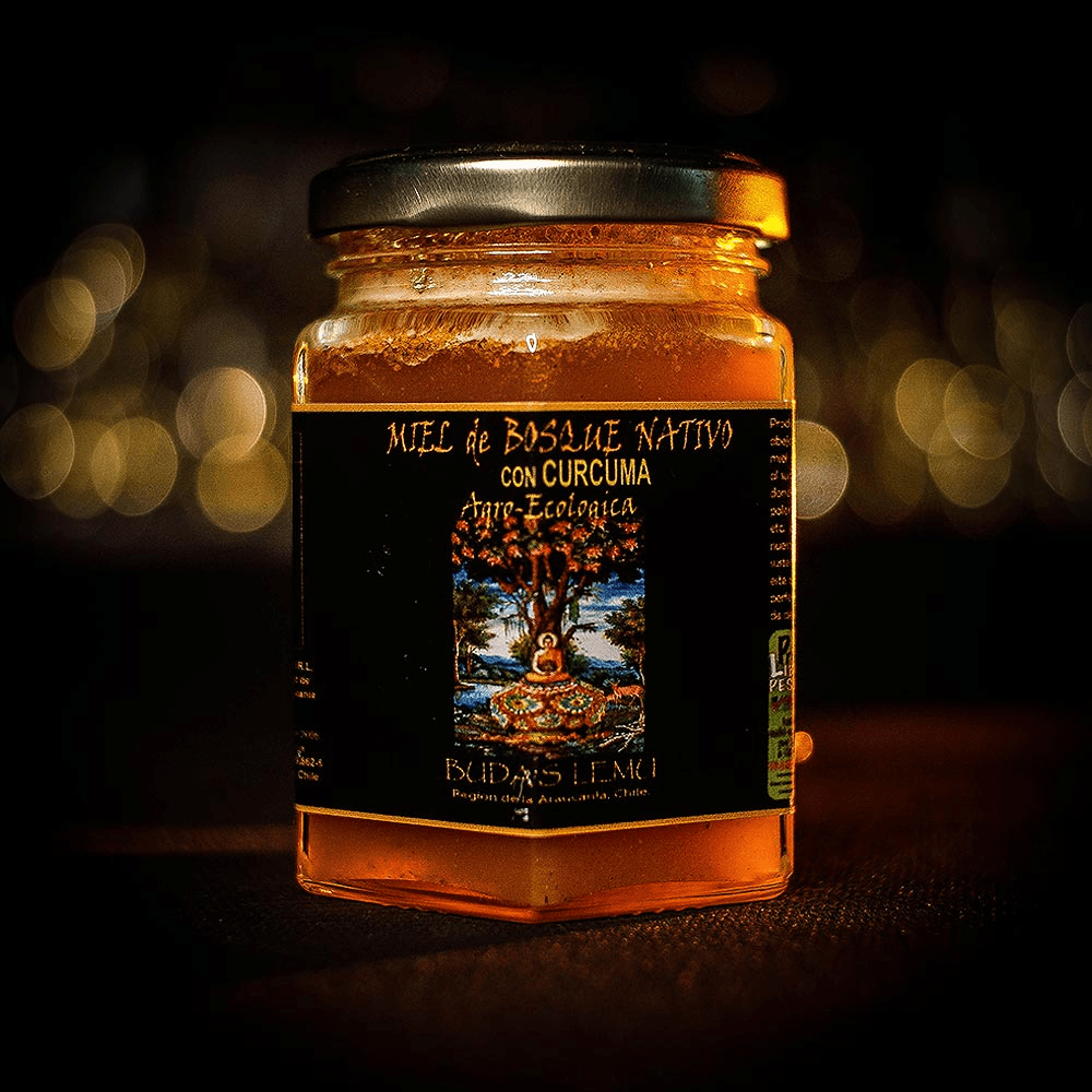 MIEL BUDASLEMU VARIEDADES 300 GR1