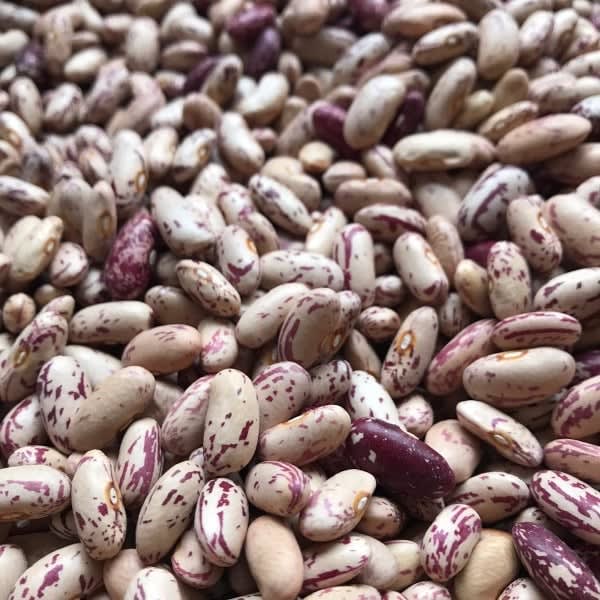 POROTO HALLADO Orgánico - 1 Kg - El Manzano1