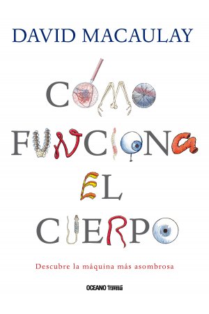 CÓMO FUNCIONA el CUERPO EOC1