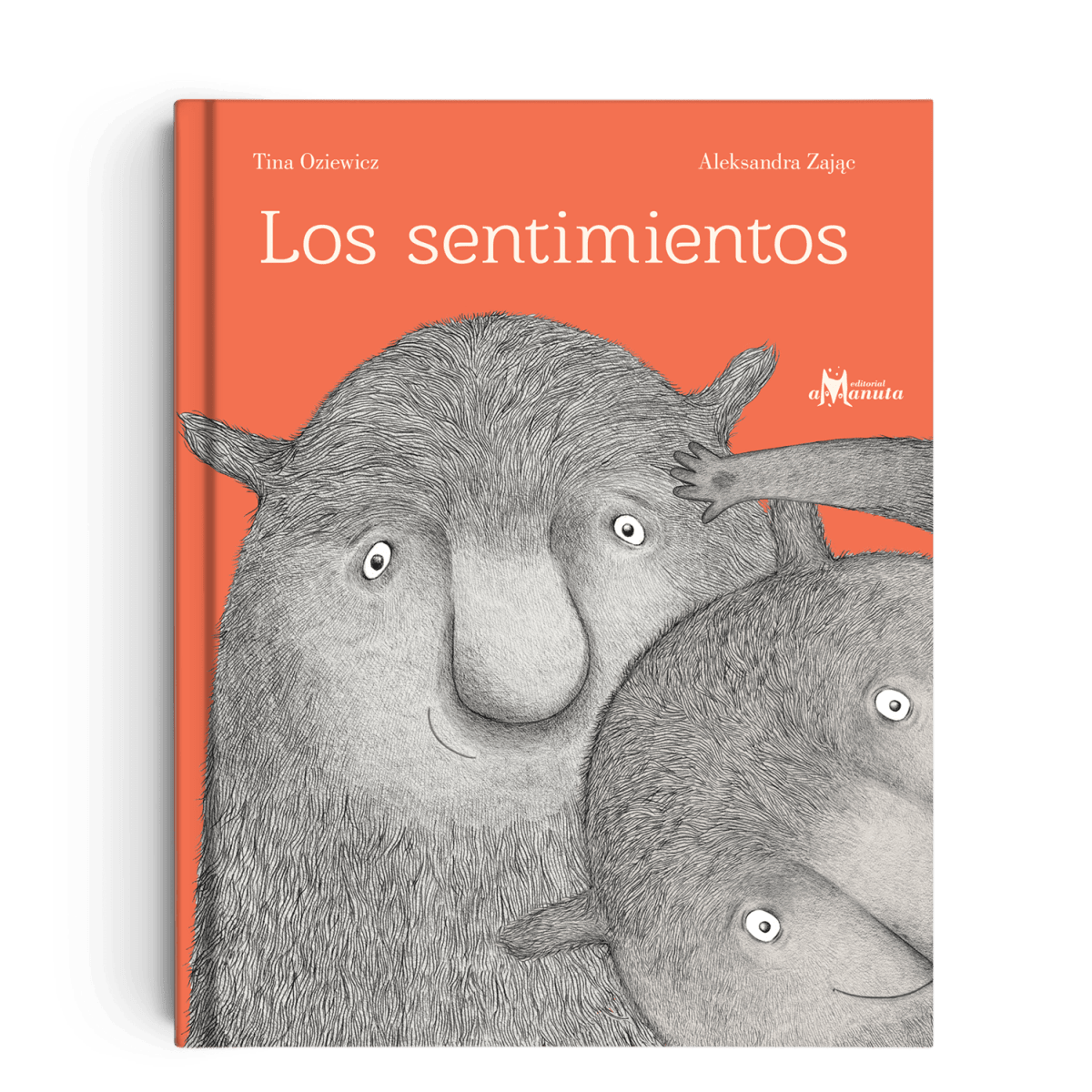 Los SENTIMIENTOS1