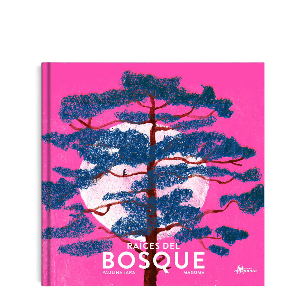 RAÍCES del BOSQUE1