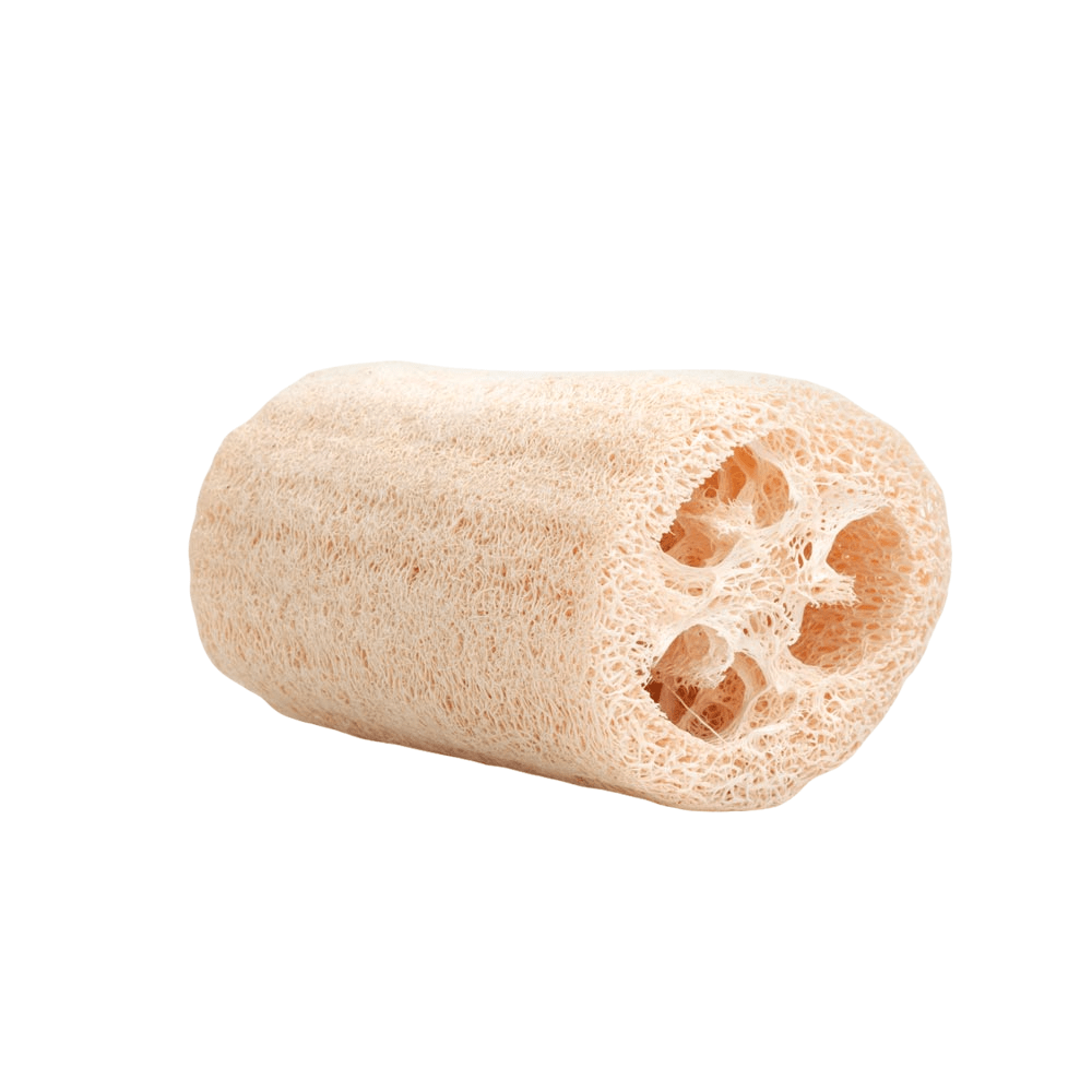 LUFFA - 1UN1