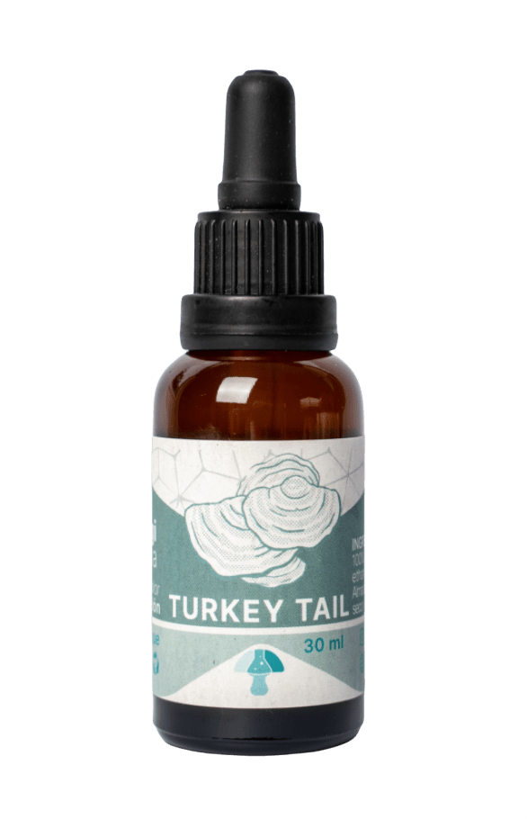 TINTURA de COLA de PAVO (turkey tail) - 30mL1