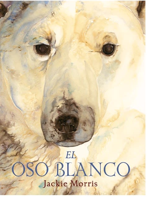 El OSO BLANCO1