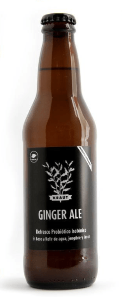 GINGER ALE - 330mL1