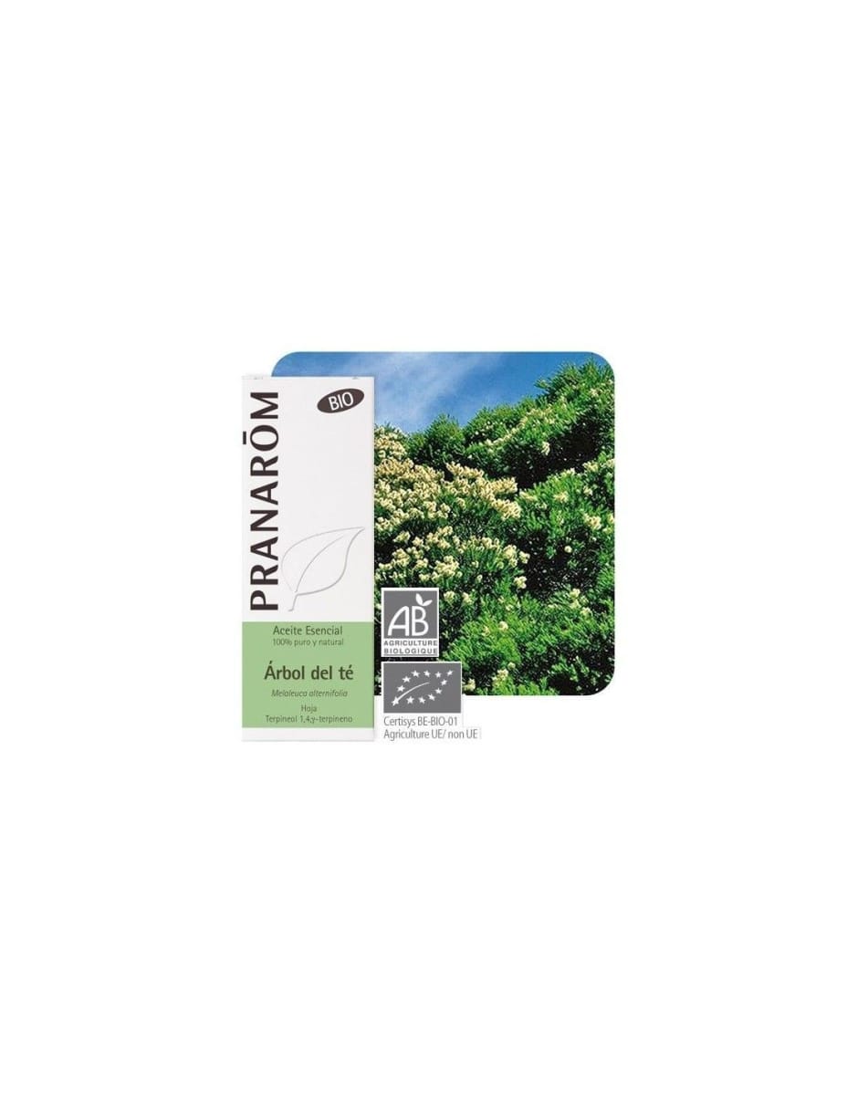 ACEITE ESENCIAL - ÁRBOL DEL TÉ / Tea tree - bio (Melaleuca Aalternifolia) - 10ML1