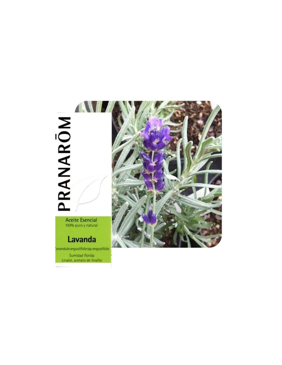 ACEITE ESENCIAL - LAVANDA (Lavandula Angustifolia) bio - 10mL1
