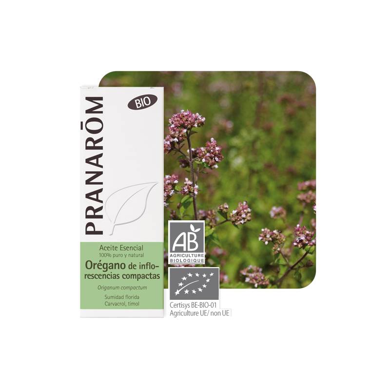 A. ESENCIAL - ORÉGANO de INFLORESCENCIAS COMPACTAS (Origanum compactum) bio - 10mL1