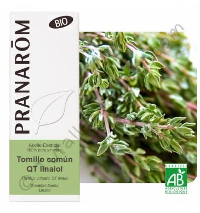 A. ESENCIAL - TOMILLO QT LINALOL (Thymus vulgaris) bio – 5mL1