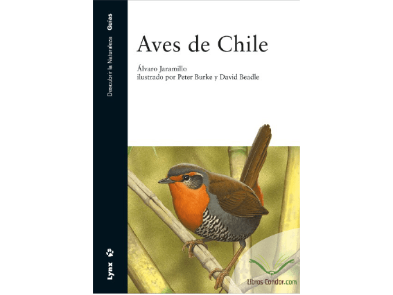 AVES de CHILE (Álvaro Jaramillo)1