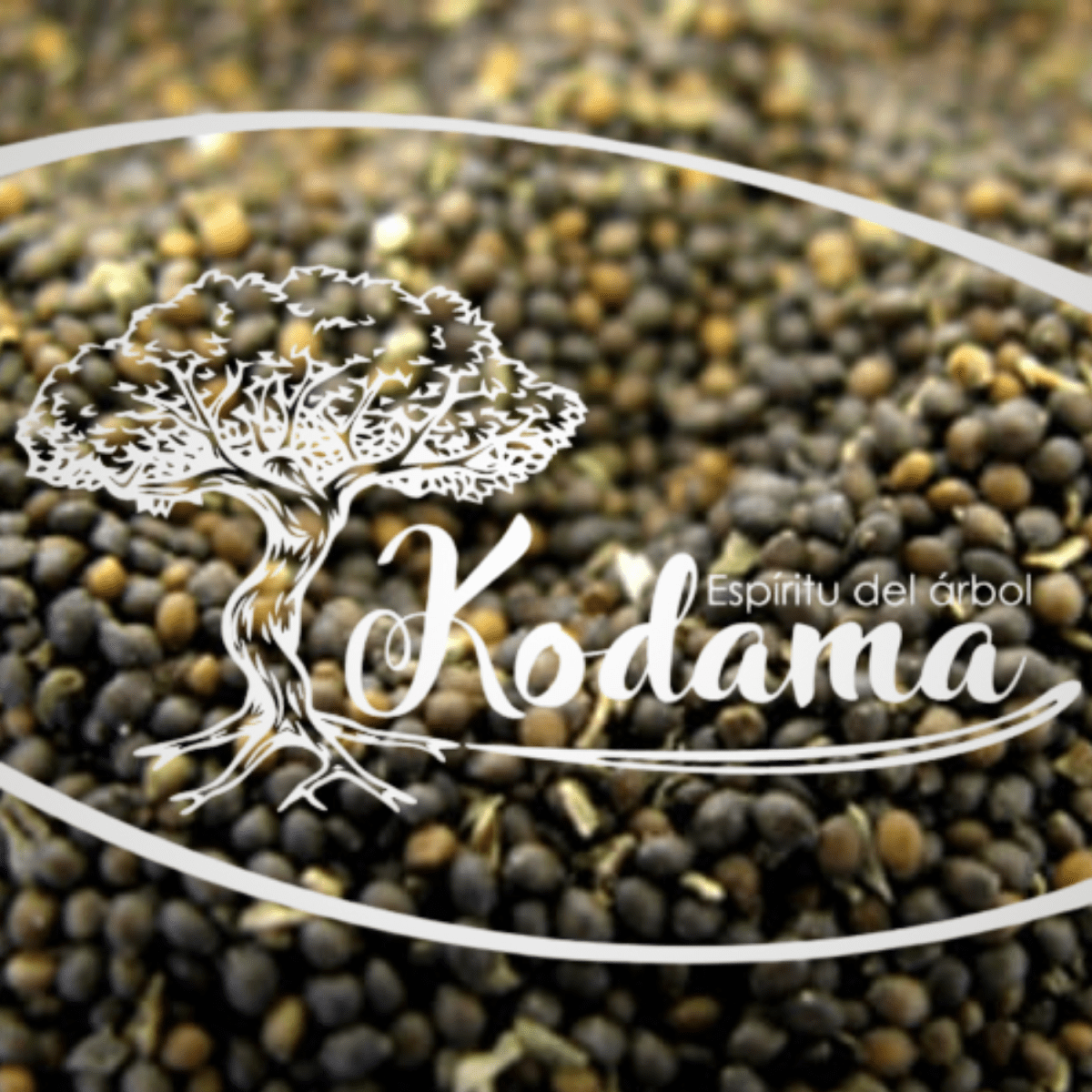 SEMILLAS - ALBAHACA - Kodama1