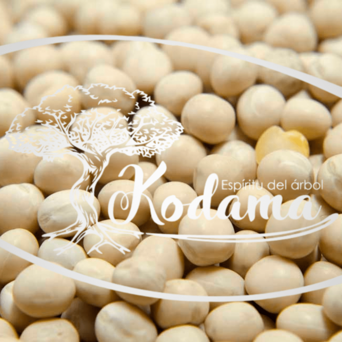 SEMILLAS  ARVEJA BLANCA1