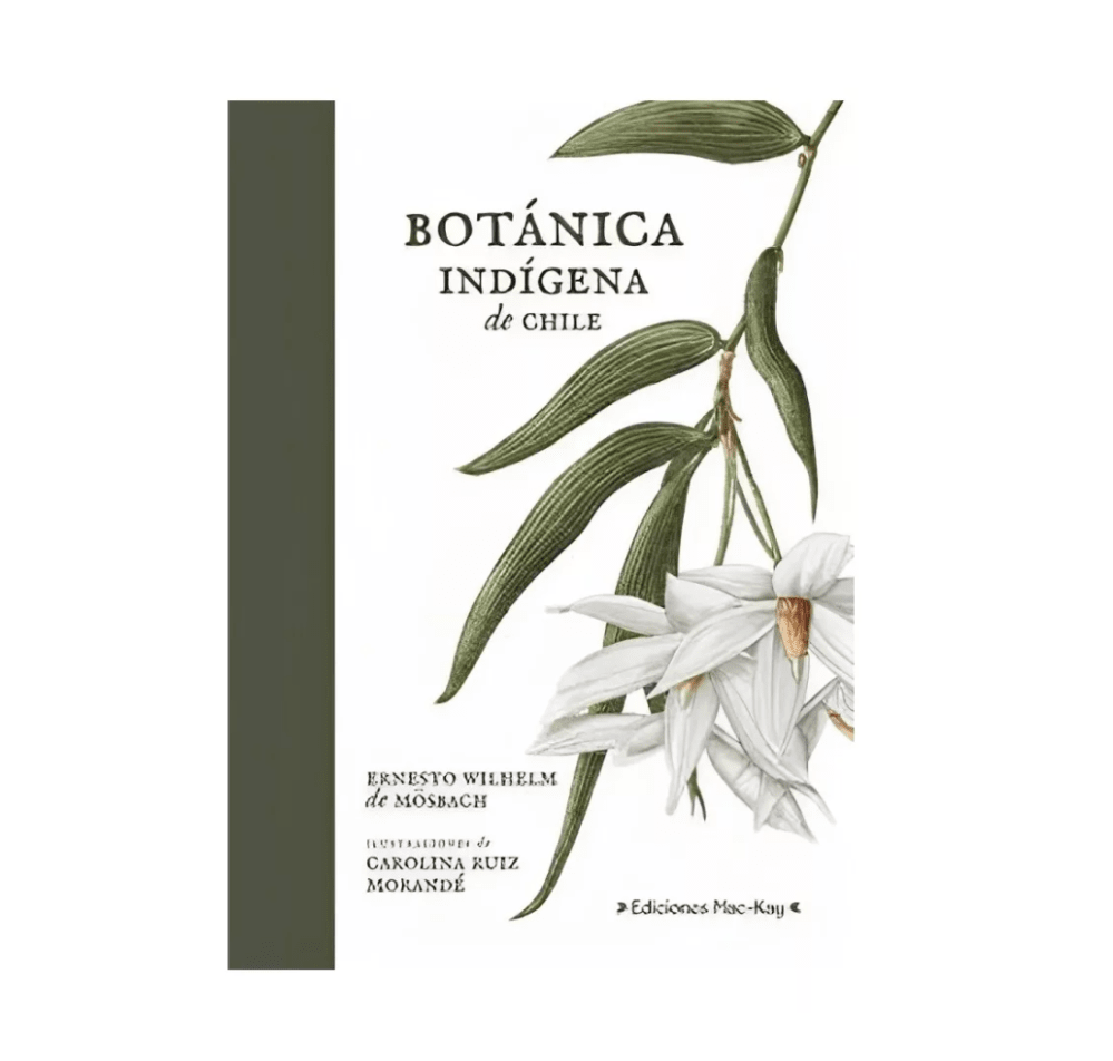 BOTÁNICA INDÍGENA de CHILE1