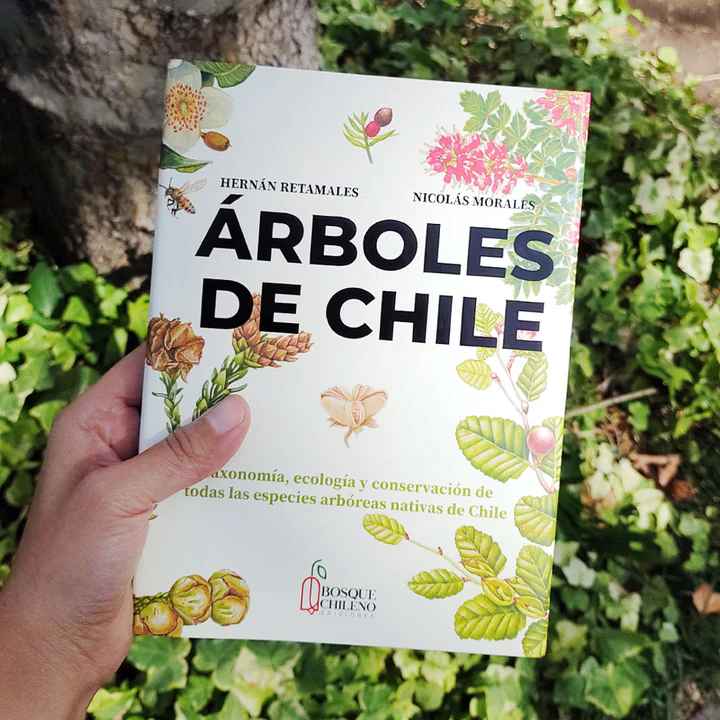 ÁRBOLES DE CHILE1