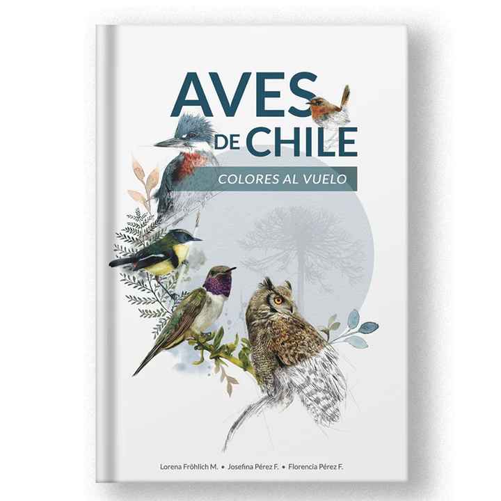 AVES DE CHILE: COLORES AL VUELO1