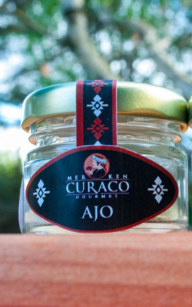 AJO DESHIDRATADO - 10g - CURACO1