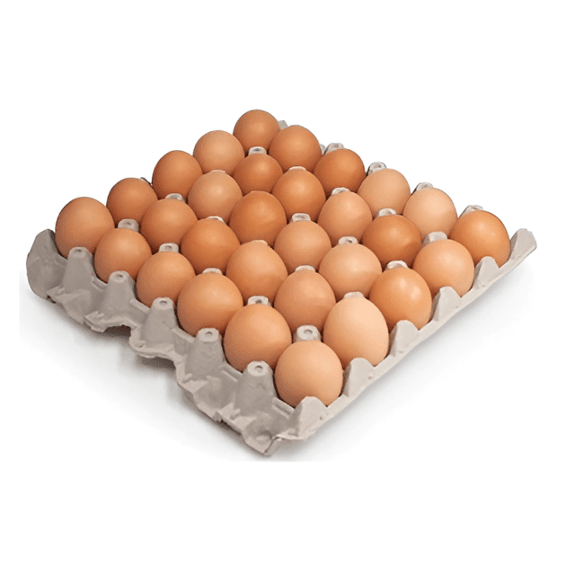 HUEVOS LIBRES - 30 UND1