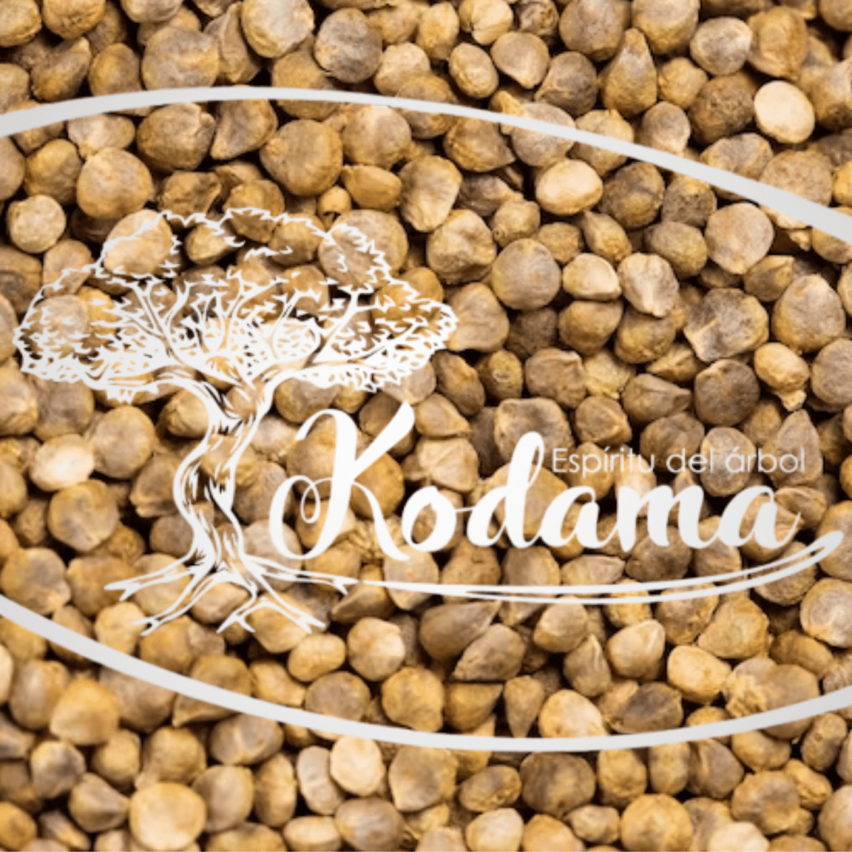 SEMILLAS  ESPINACA ARBUSTIVA1