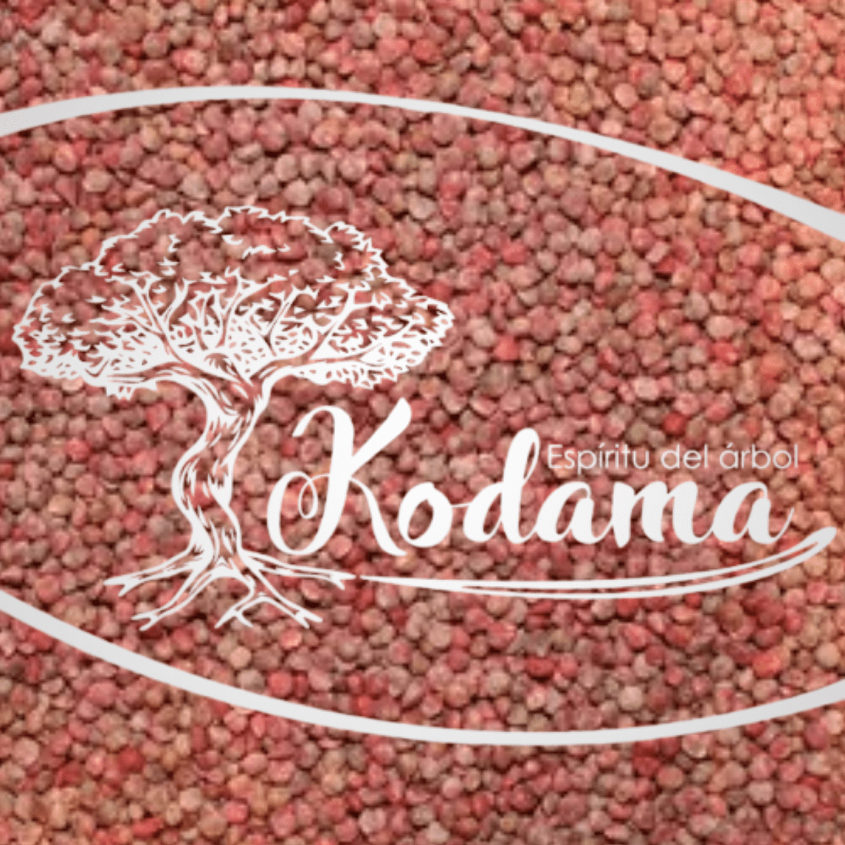 SEMILLAS - ESPINACA ROJA - Kodama1