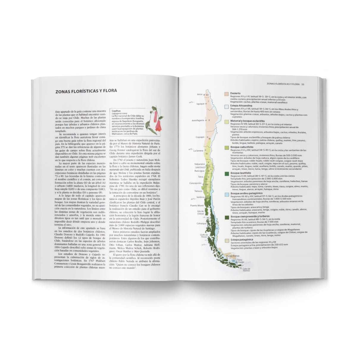 FLORA Y FAUNA DE CHILE6