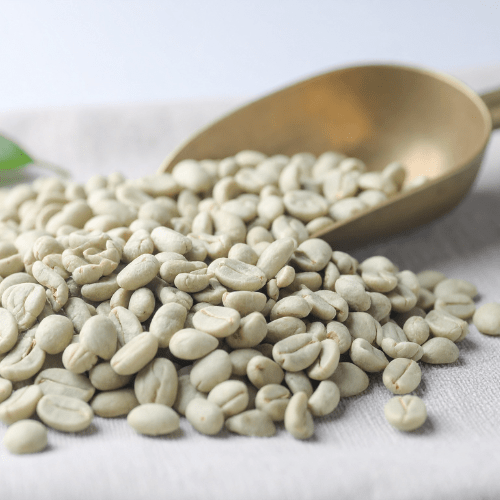 CAFÉ de Especialidad - PANGOA CLASSIC - GRANO VERDE - 1KG1