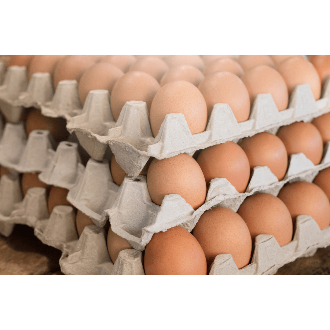 HUEVOS LIBRES -5