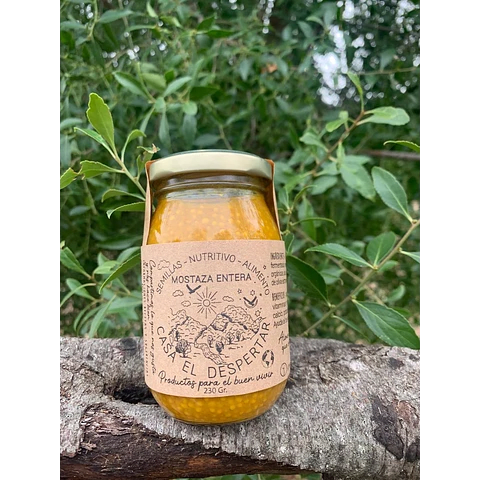 MOSTAZA 230gr - Casa el Despertar1