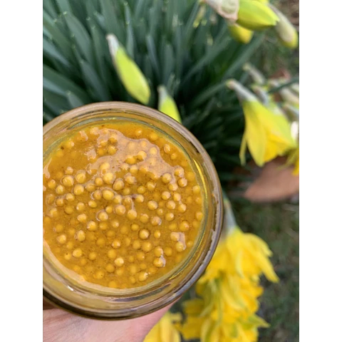 MOSTAZA 230gr - Casa el Despertar2