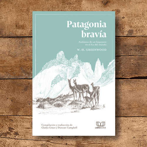 Patagonia Bravía1