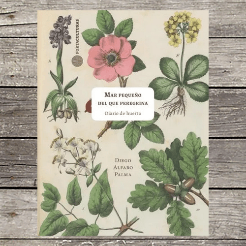 Mar pequeño del peregrina. Diario de huerta1