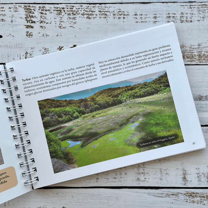 Manual de propagación de árboles nativos. Zona centro sur de Chile2