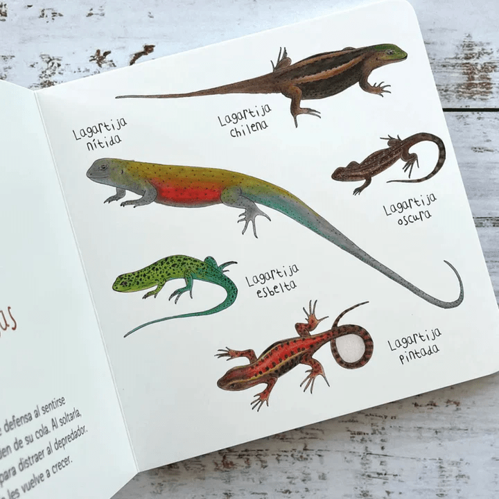 Biodiversos2