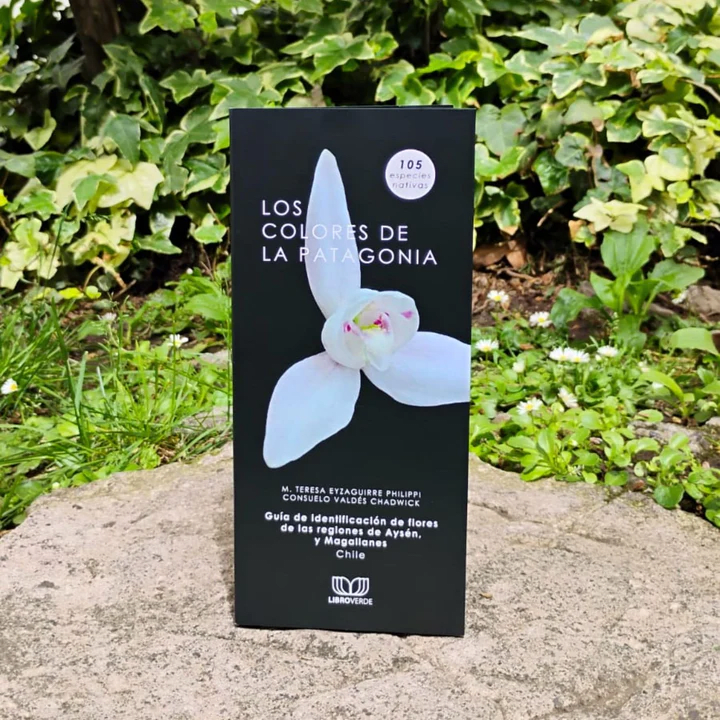 Guía de identificación de flores.4