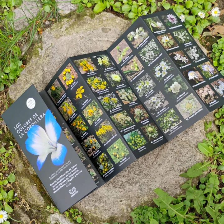 Guía de identificación de flores.7