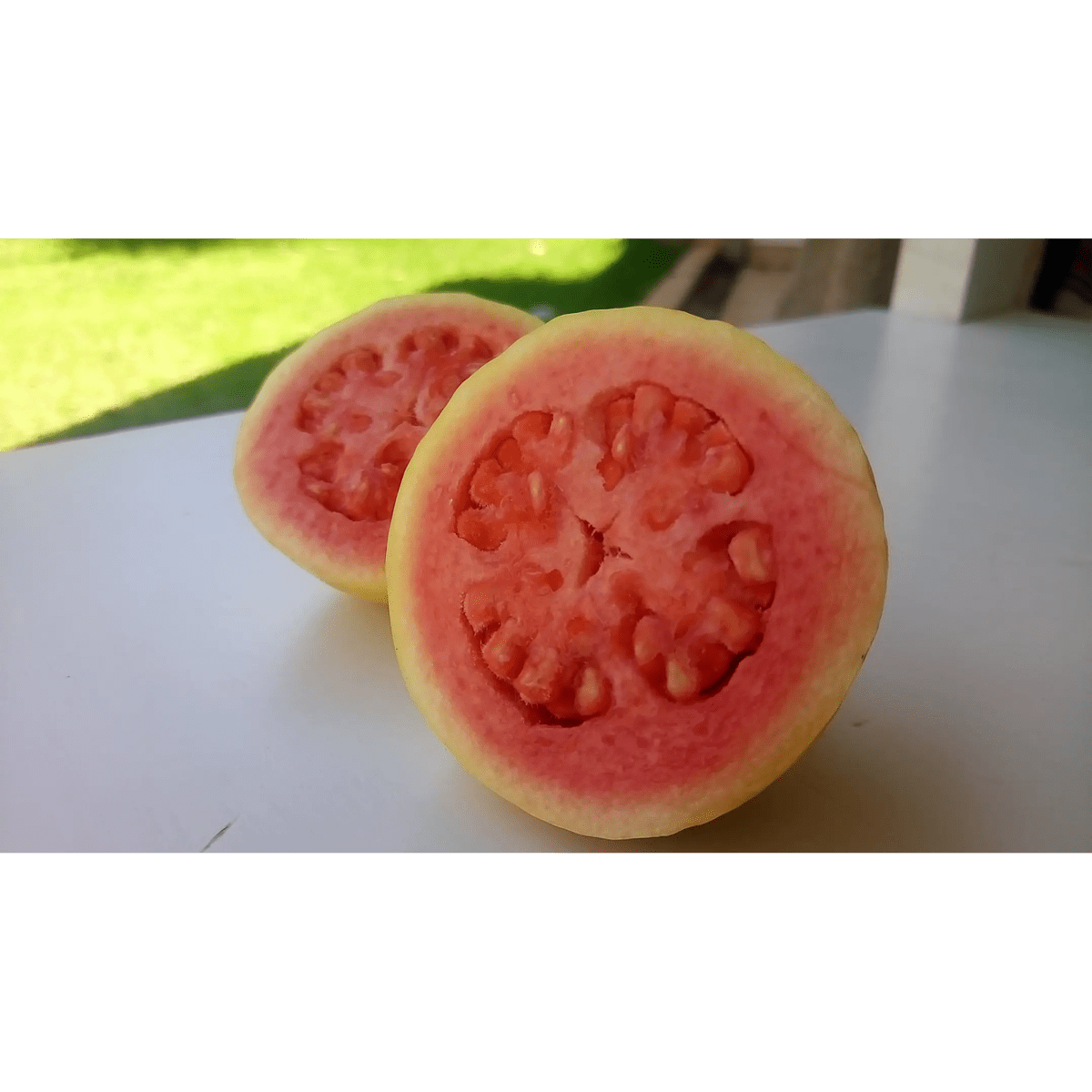 JUGO GUAYABA ORGANICO - 1 L - NATIVE2