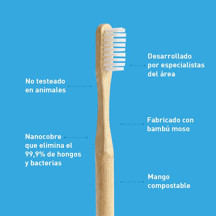 CEPILLO DE DIENTES ( MEDIO ) - BLANCO - Bio Brush2