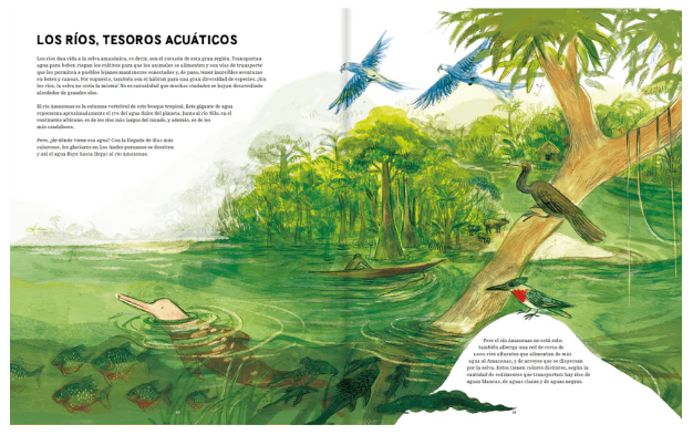 AMAZONAS2