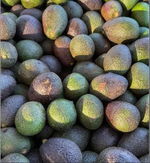PALTA HASS Orgánica - 1 Kg1