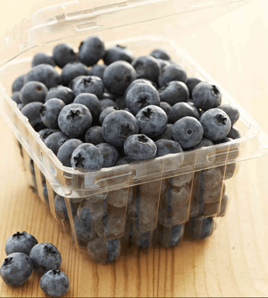 ARÁNDANOS Orgánicos de EXPORTACIÓN - 500g -3