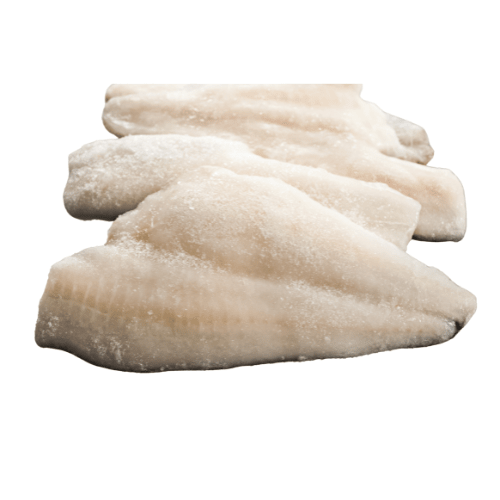 CONGRIO DORADO - Por Kg - Tres Peces (COMPRA VÍA WSP)1