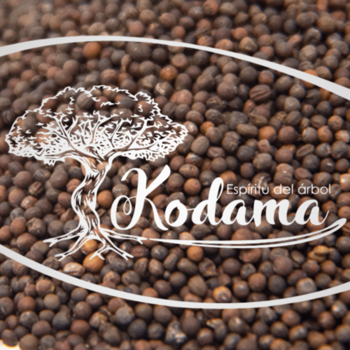 SEMILLAS  KALE TOSCANO1