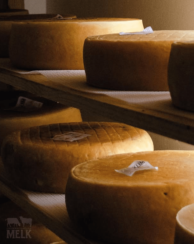 QUESO LIGNO - 200g - Melk Cremeria Familiar2