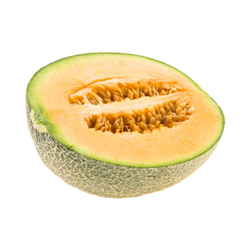 MELON CALAMEÑO ORGÁNICO - Unidad1