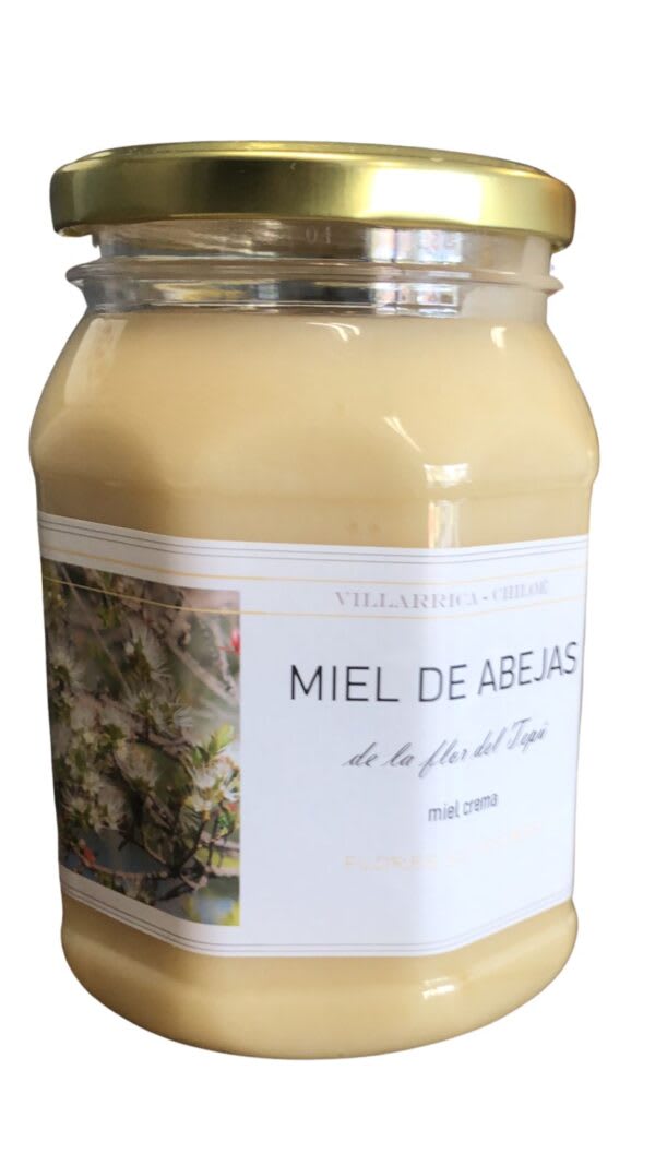 MIEL BATIDA de TEPÚ libre de químicos - 1 Kg - Ñanku1