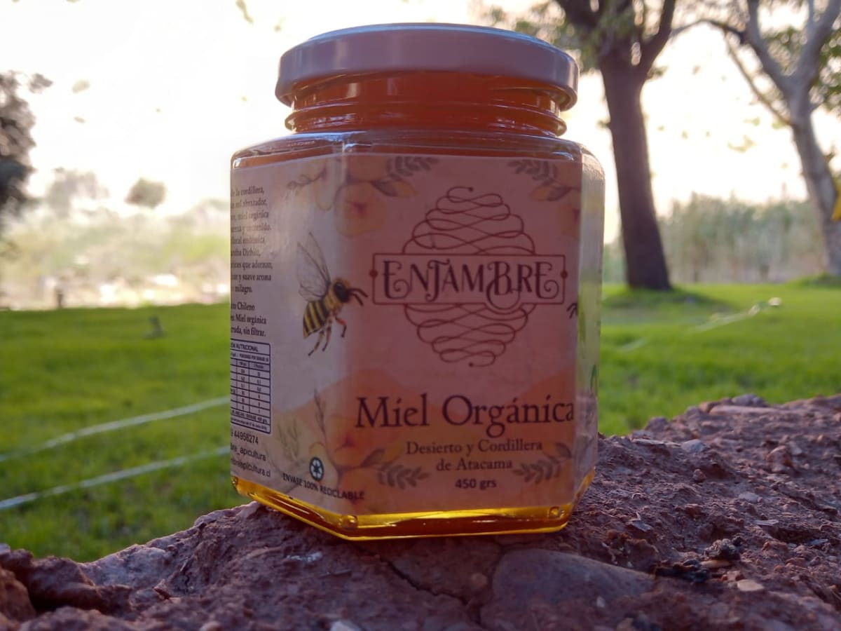 MIEL ORGÁNICA - Frasco 450 Gr - Enjambre1