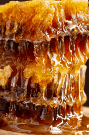 MIEL EN PANAL - Frasco 300g -1