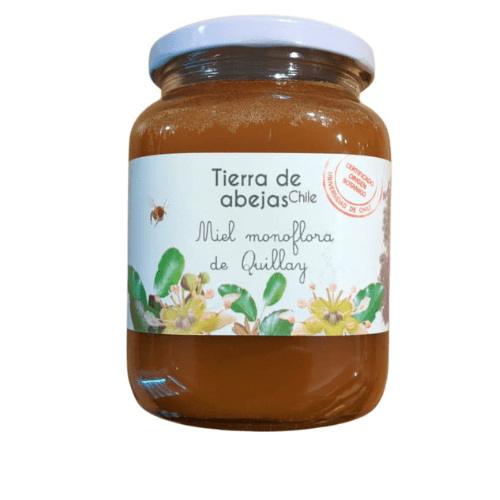 MIEL de QUILLAY - 1000g - Tierra de Abejas1