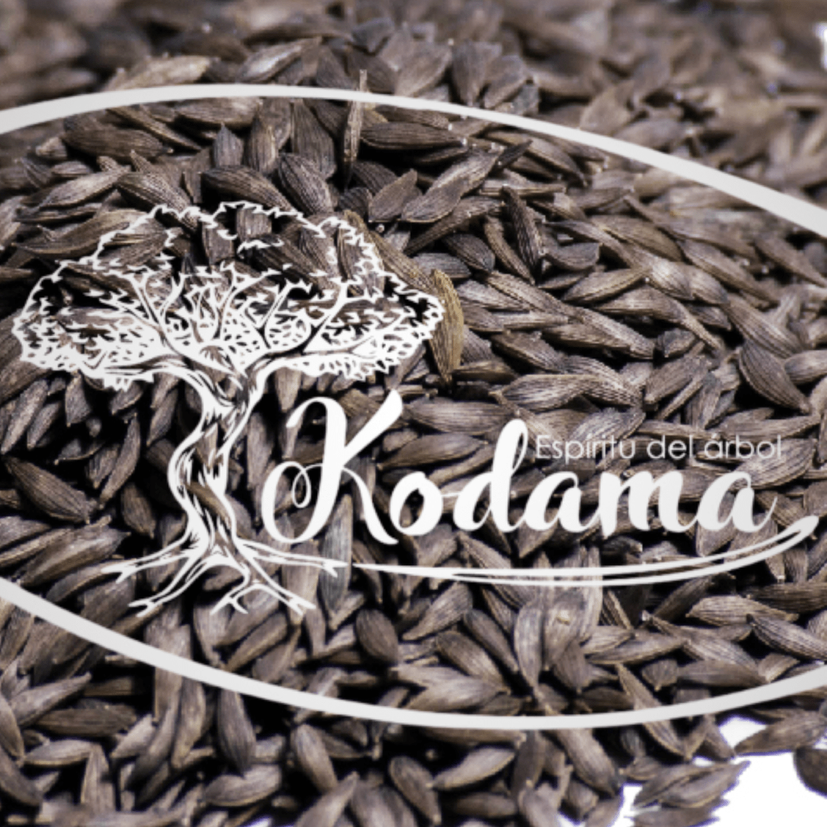 SEMILLAS - MIX LECHUGA - Kodama1