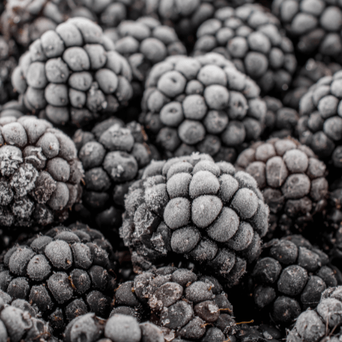 MORONES - Agroecologicos -  Congelados - 1 Kg - Sabores de Nuestra Tierra1