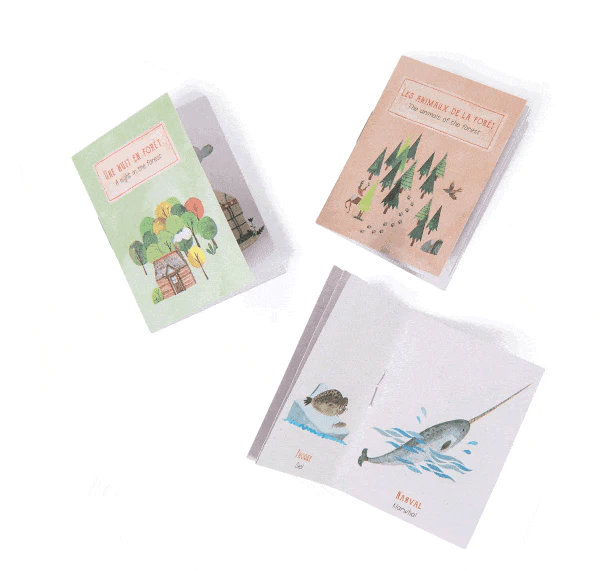 LINTERNA de HISTORIAS EL EXPLORADOR3